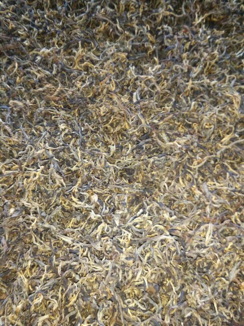 百年大树茶二级