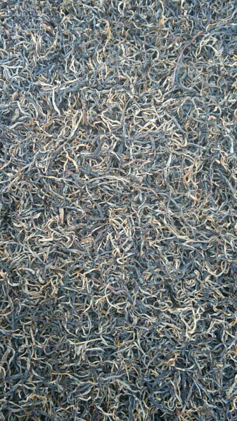 百年大树茶二级