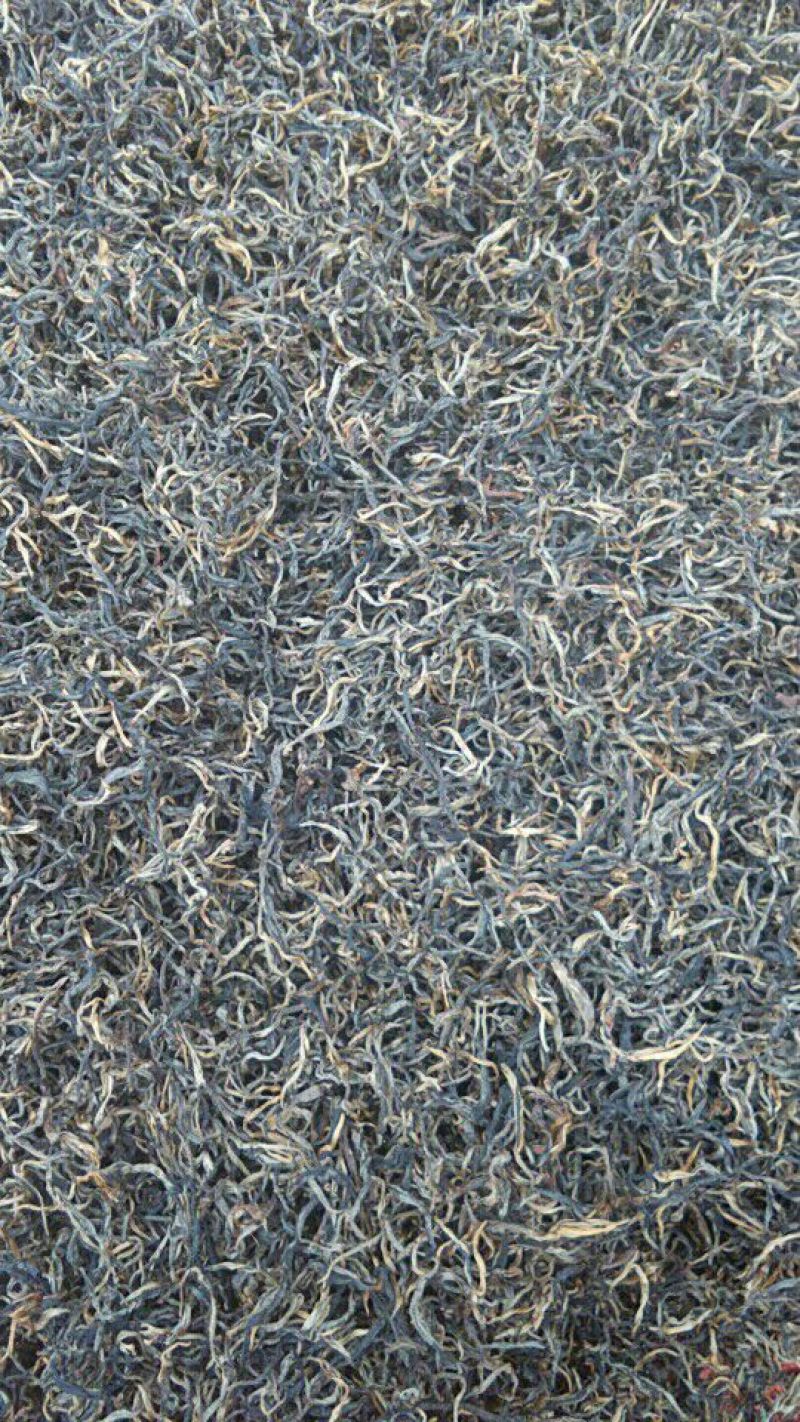 百年大树茶二级