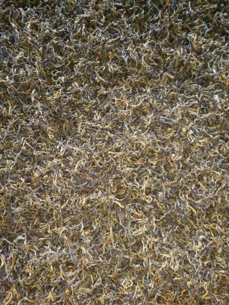 百年大树茶二级