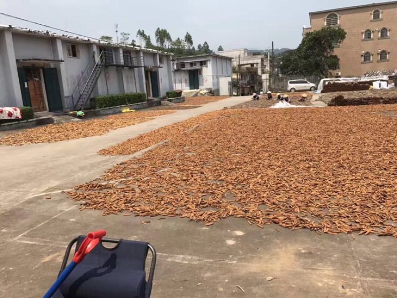 桂皮