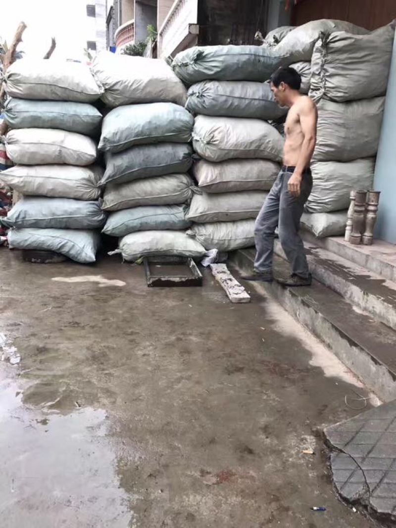 桂皮