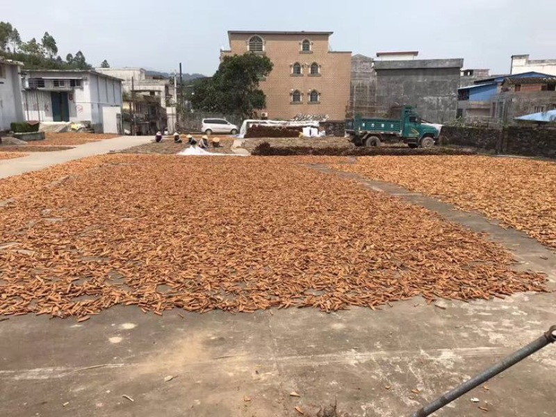 桂皮