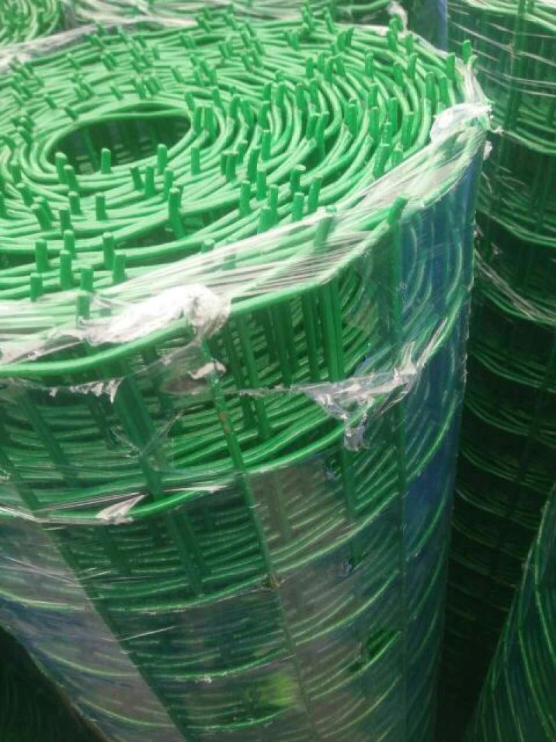荷兰网50*50mm