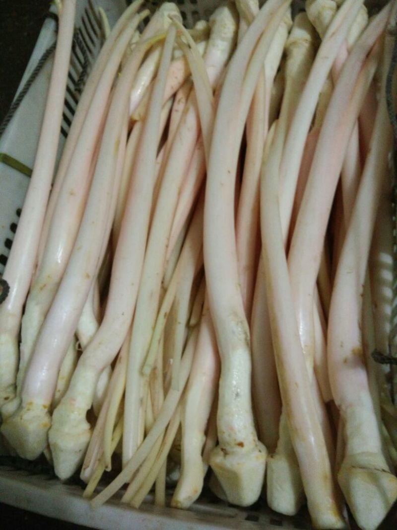 【精品芋芽菜】特色菜，高端特色食材，专业生产销售