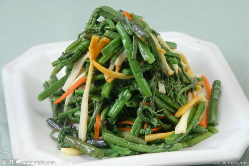 龙爪菜