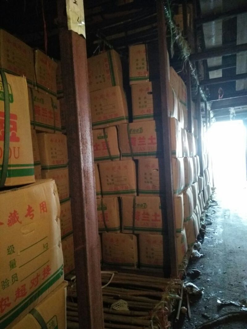 产地直销全国配货质量好荷兰十五可视频看货，支持线上交易