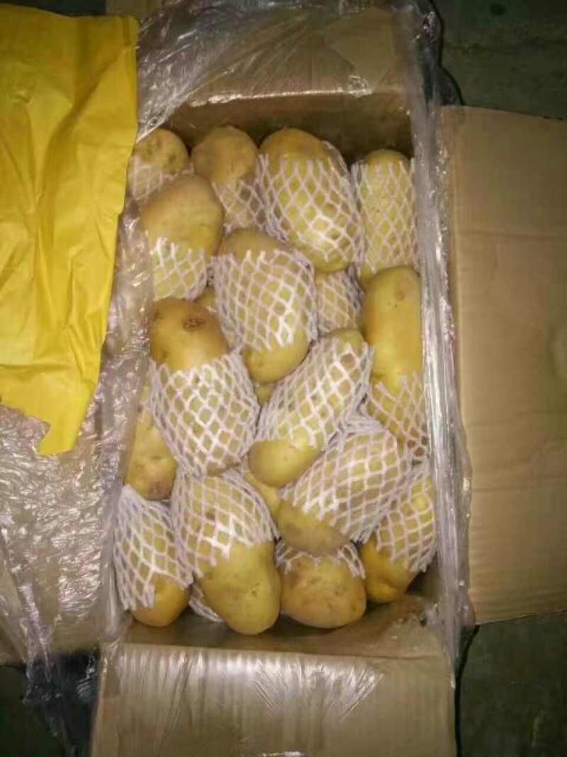 产地直销全国配货质量好荷兰十五可视频看货，支持线上交易
