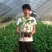 红香蕉苗2~3年原种
