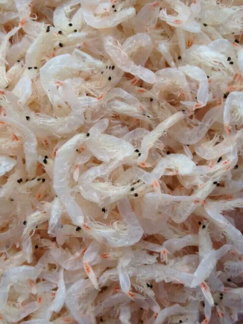 虾皮特级