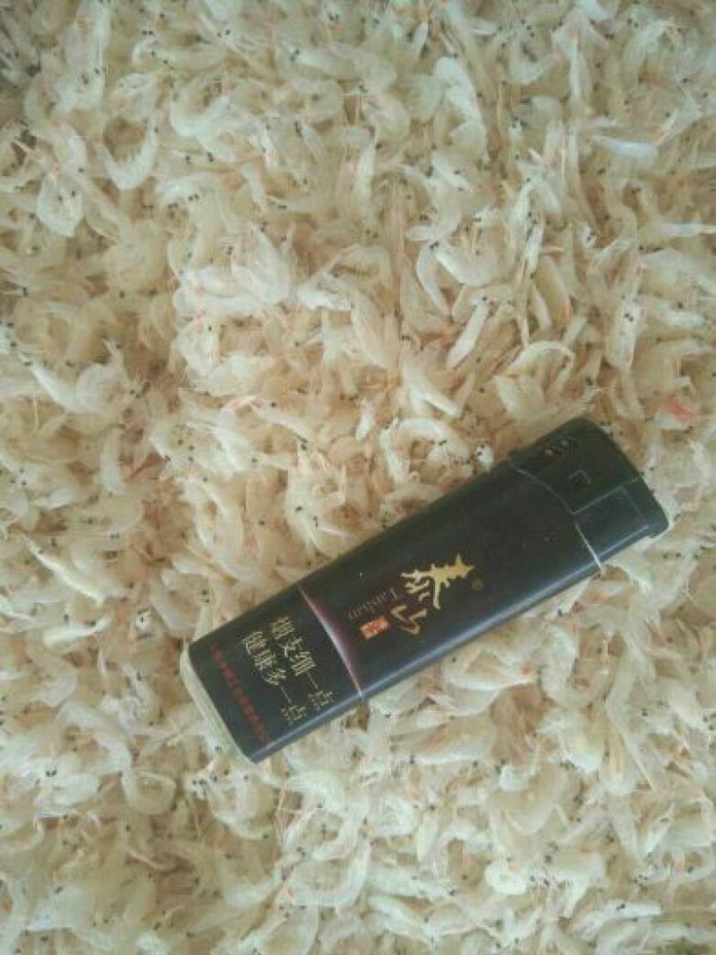 虾皮一级
