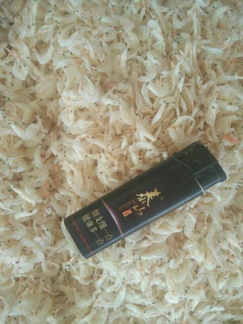 虾皮一级