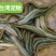 泥鳅苗统货