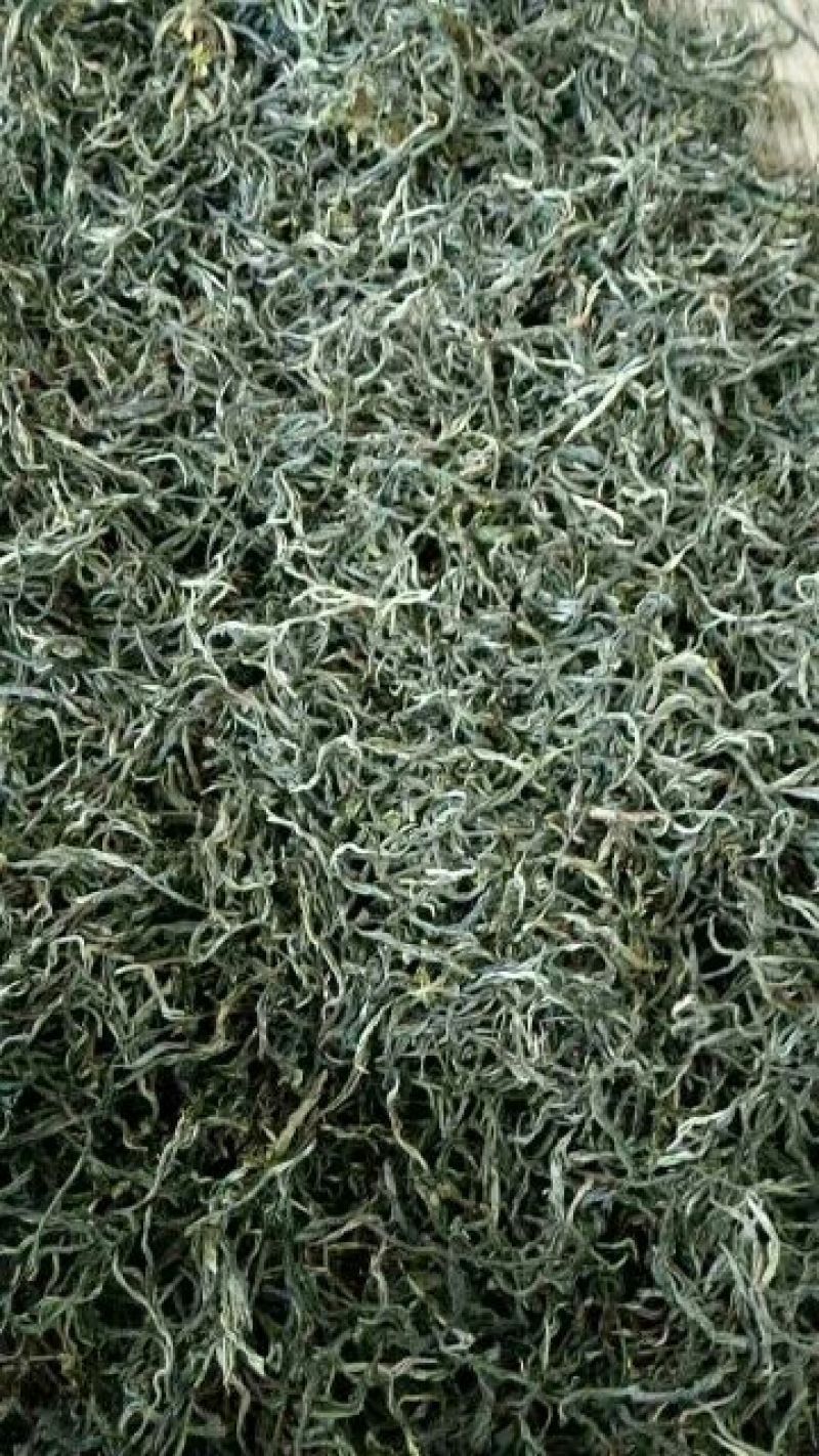 老树茶一级