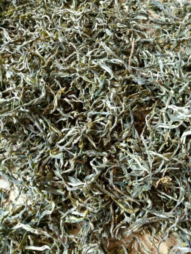 老树茶一级