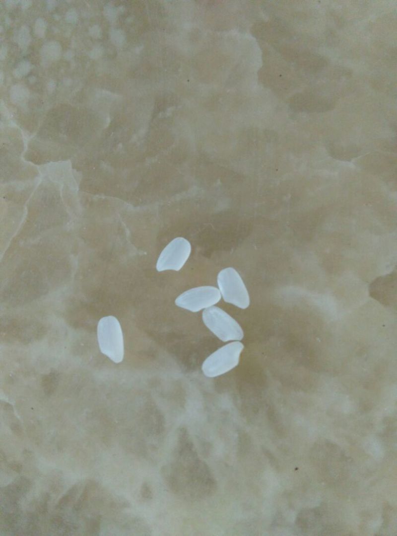 长粒香大米新米一级