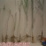 紫藤2~3cm1~1.5米