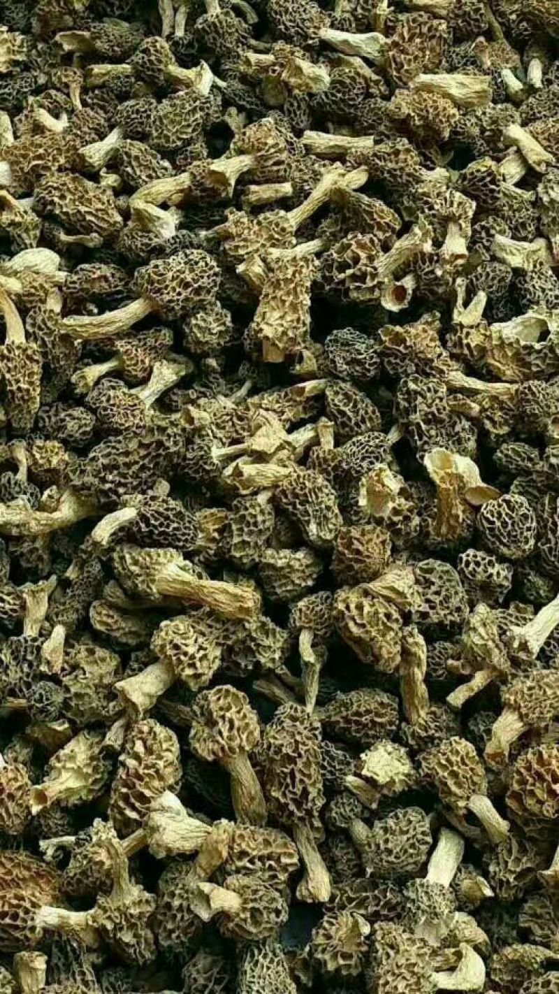 羊肚菌中上通货纯野生羊肚菌