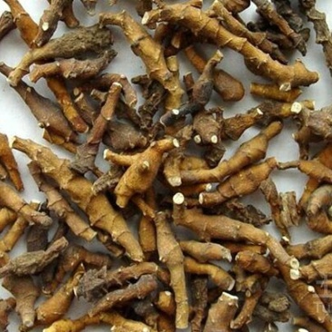 中药材野生九节菖蒲正品节菖蒲小菖蒲新货非石菖蒲