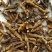 中药材野生九节菖蒲正品节菖蒲小菖蒲新货非石菖蒲