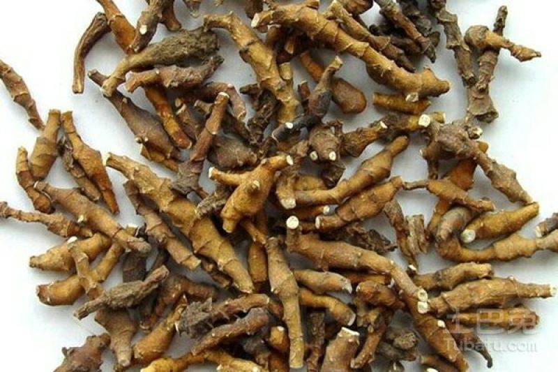 中药材野生九节菖蒲正品节菖蒲小菖蒲新货非石菖蒲