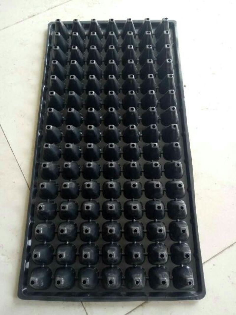 穴盘128孔