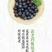 蓝丰蓝莓6~8mm以上鲜果