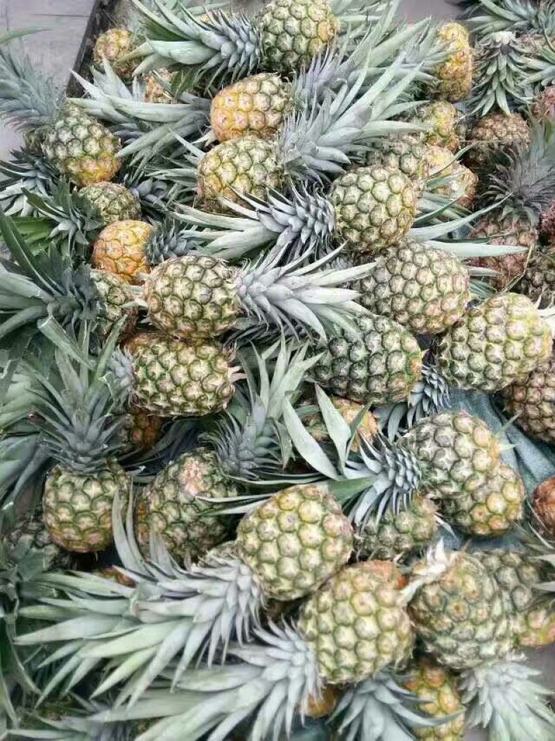 菠萝