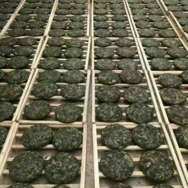 古树茶一级