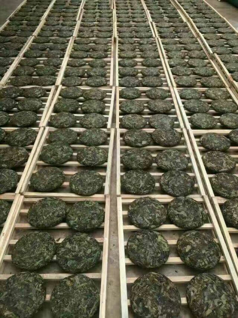 古树茶一级