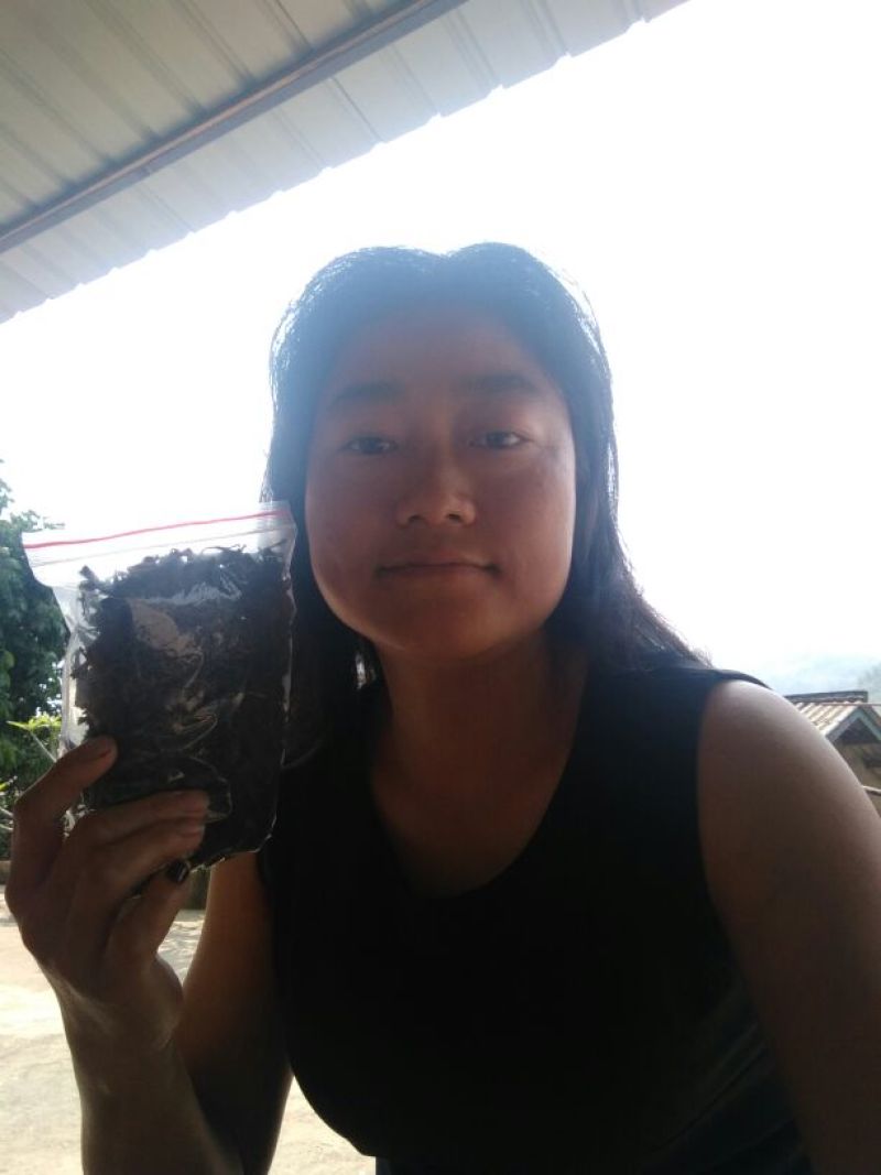 百年大树茶特级