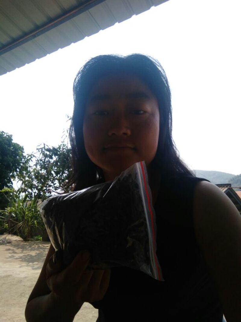 百年大树茶特级