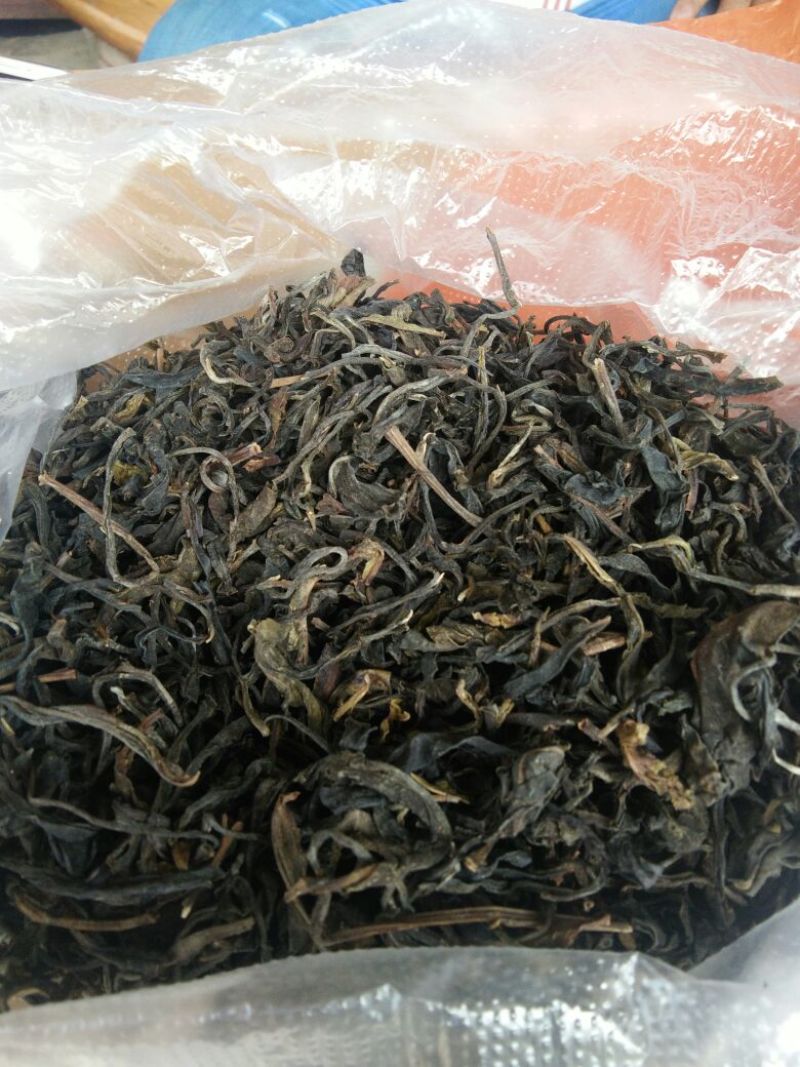 百年大树茶特级