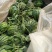 甜王西瓜7斤打底8成熟1茬