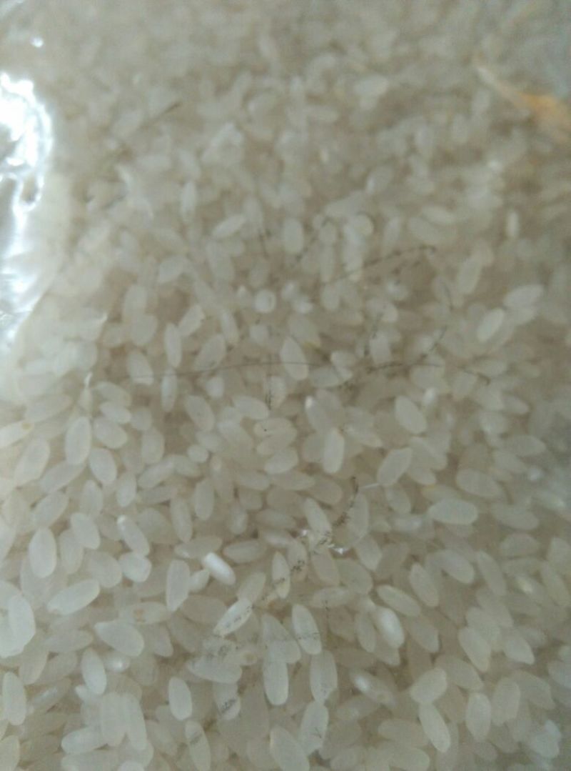 长粒香大米新米一级