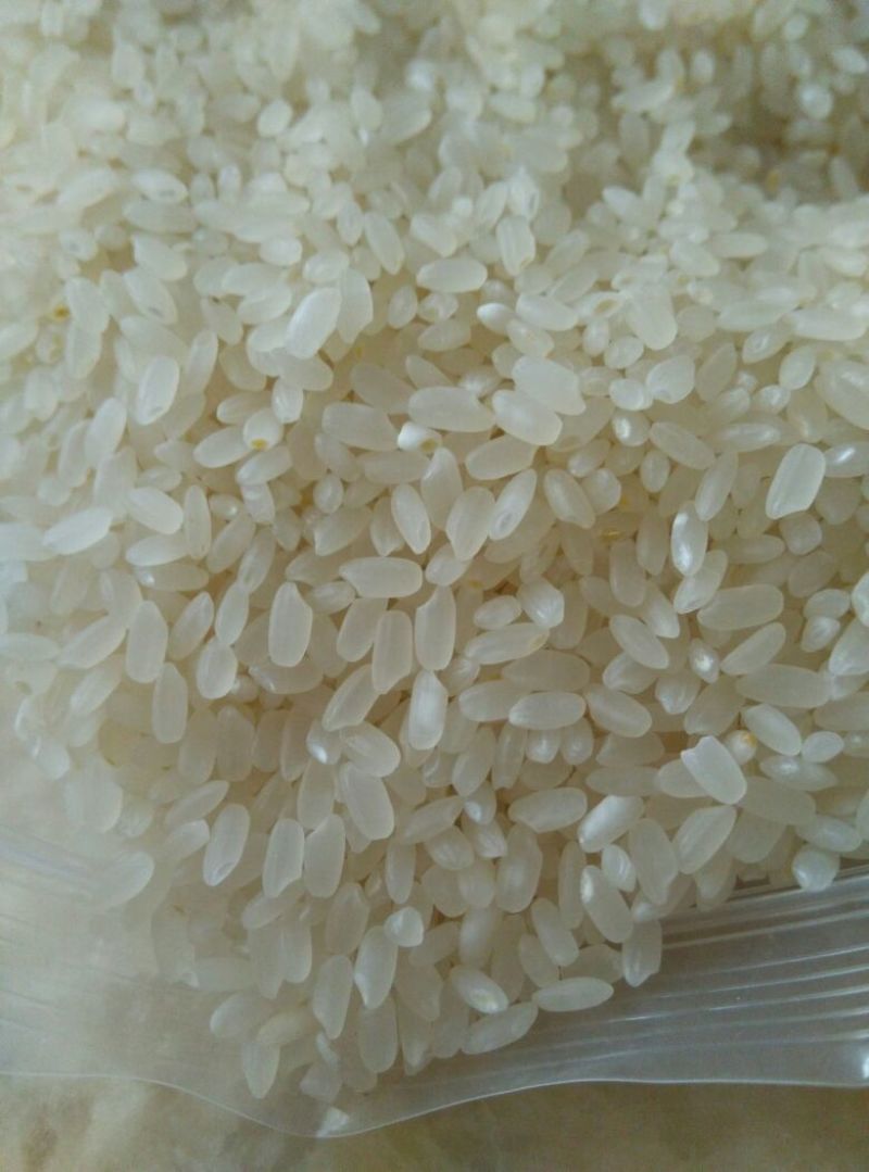 长粒香大米新米一级