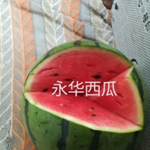 京欣甜王西瓜大量上市保熟保甜西瓜9成熟1茬