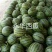 京欣甜王西瓜大量上市保熟保甜西瓜9成熟1茬