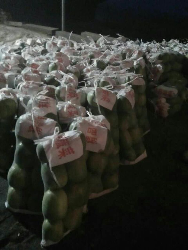一串玲冬瓜5斤以上吊冬瓜【推荐】白皮冬瓜一串铃冬瓜