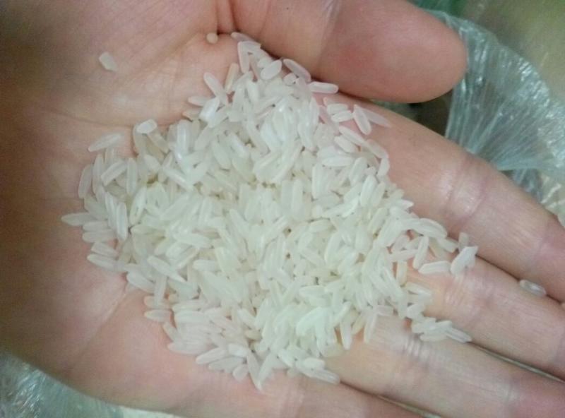 黄花粘大米香米贡米软香糯油性米质米饭软糯粘