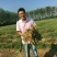 大良一号花生种子，全国空白地区招商