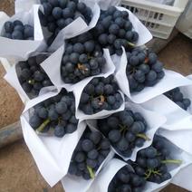 夏黑葡萄1~2斤质量好
