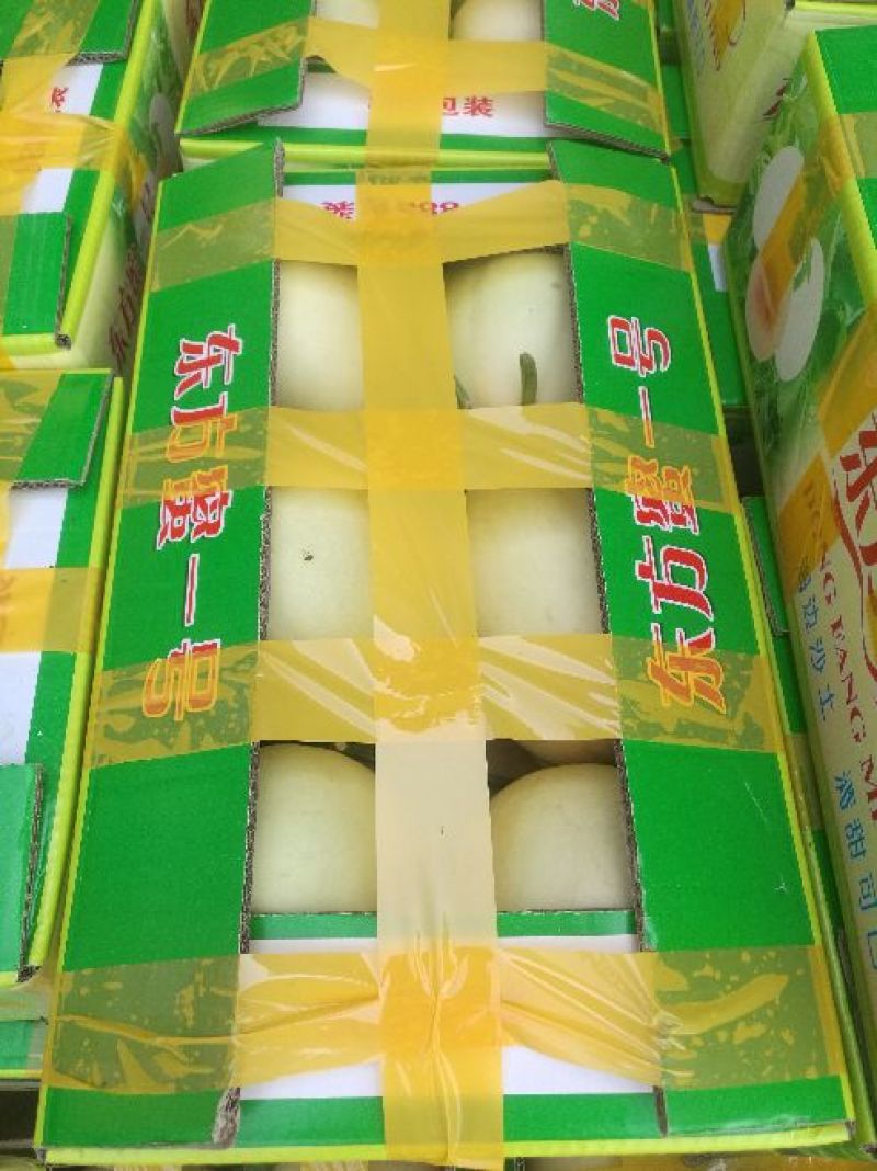 陕西东方蜜白甜瓜精品1斤以上