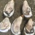 生蚝，海蛎子，湛江蚝，
