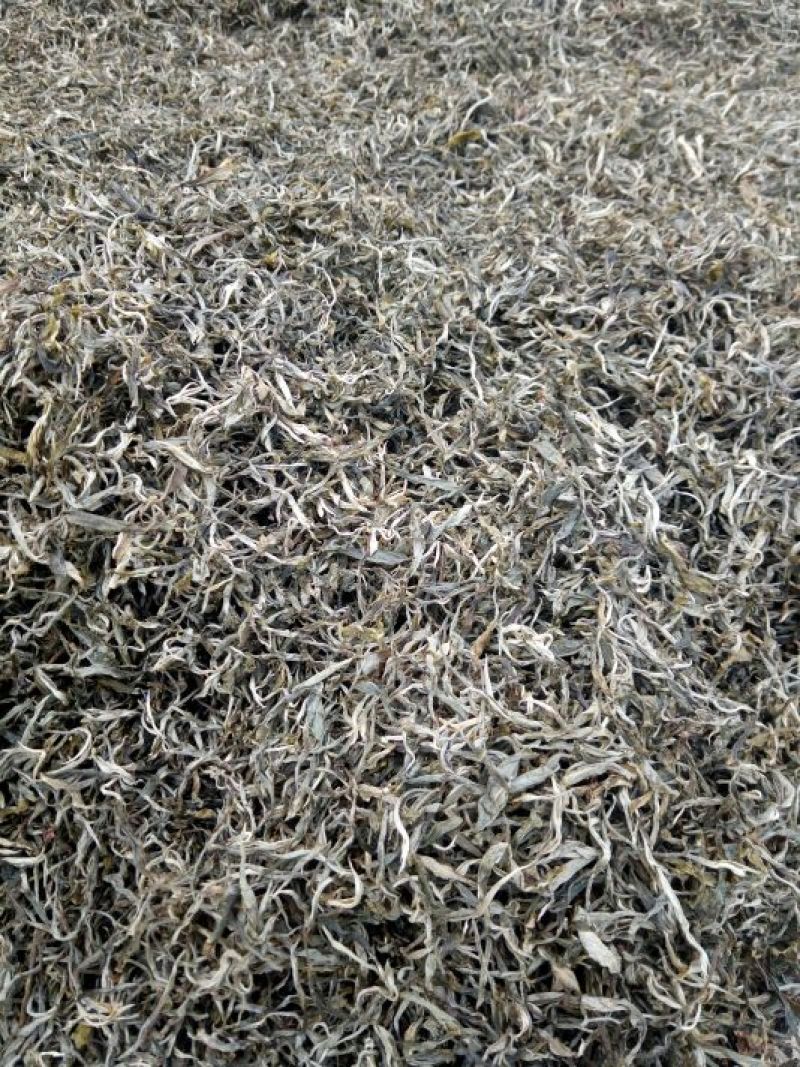 古树茶二级
