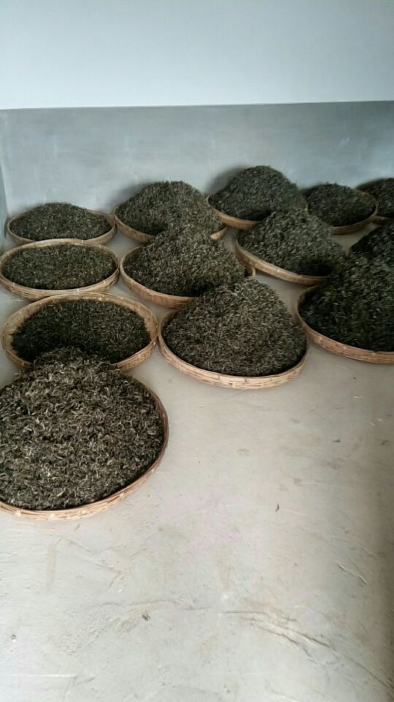 古树茶二级