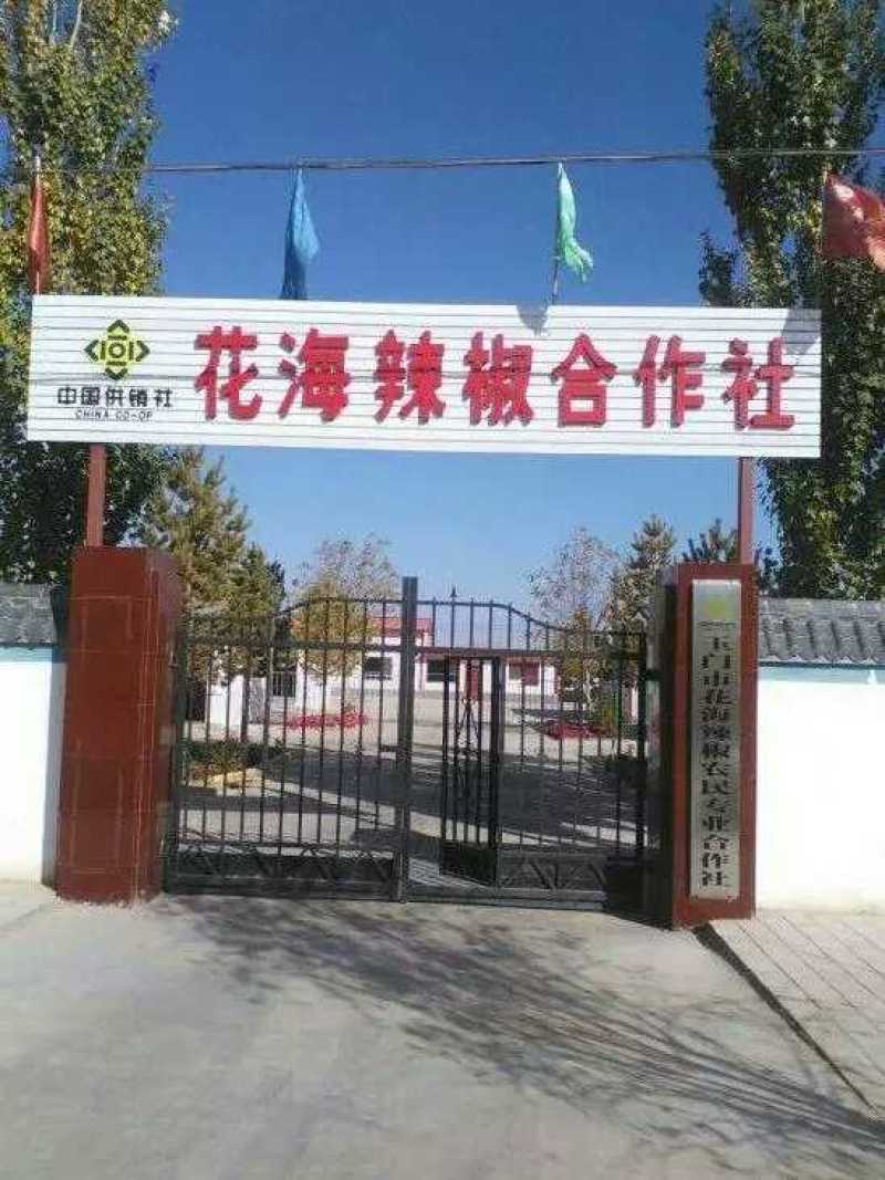 花海辣椒面，纯手工石磨磨制