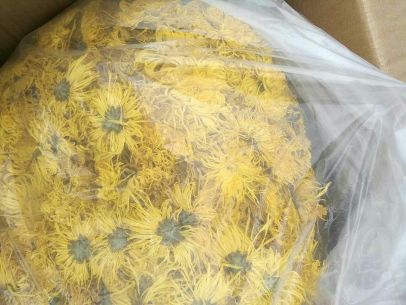 皇菊茶一级