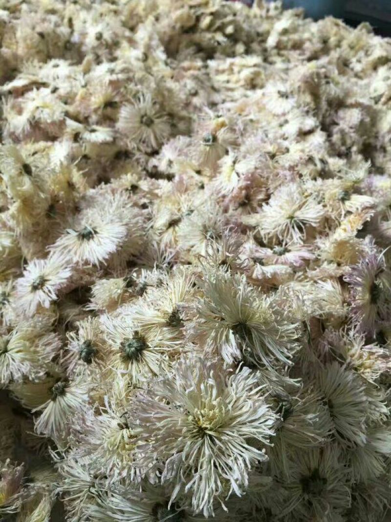 皇菊茶一级