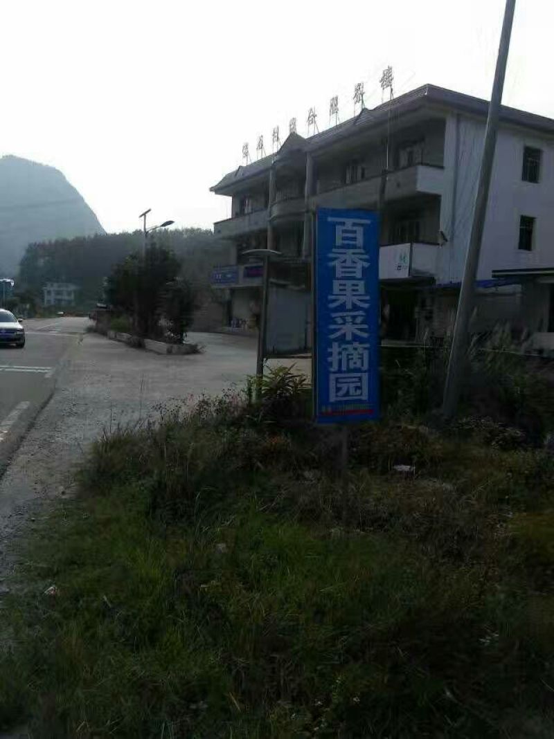百香果紫果60~70g